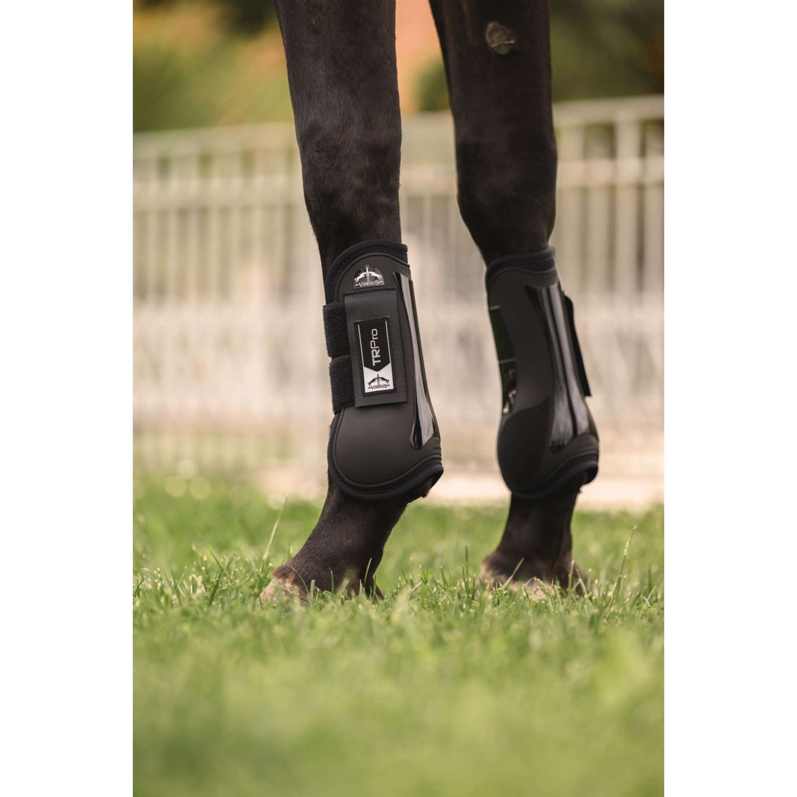 Veredus Protèges-Tendons TR PRO Front Noir Veredus Protèges-Tendons TR PRO Front Noir