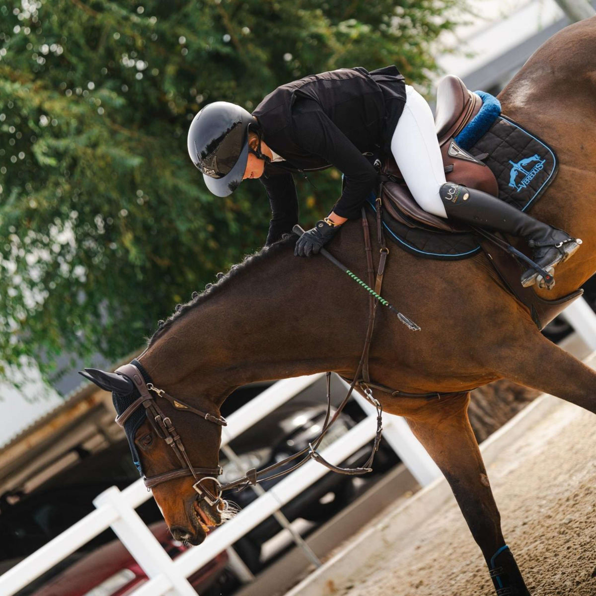 Veredus Bombe Vita Visiére Large Noir Laqué