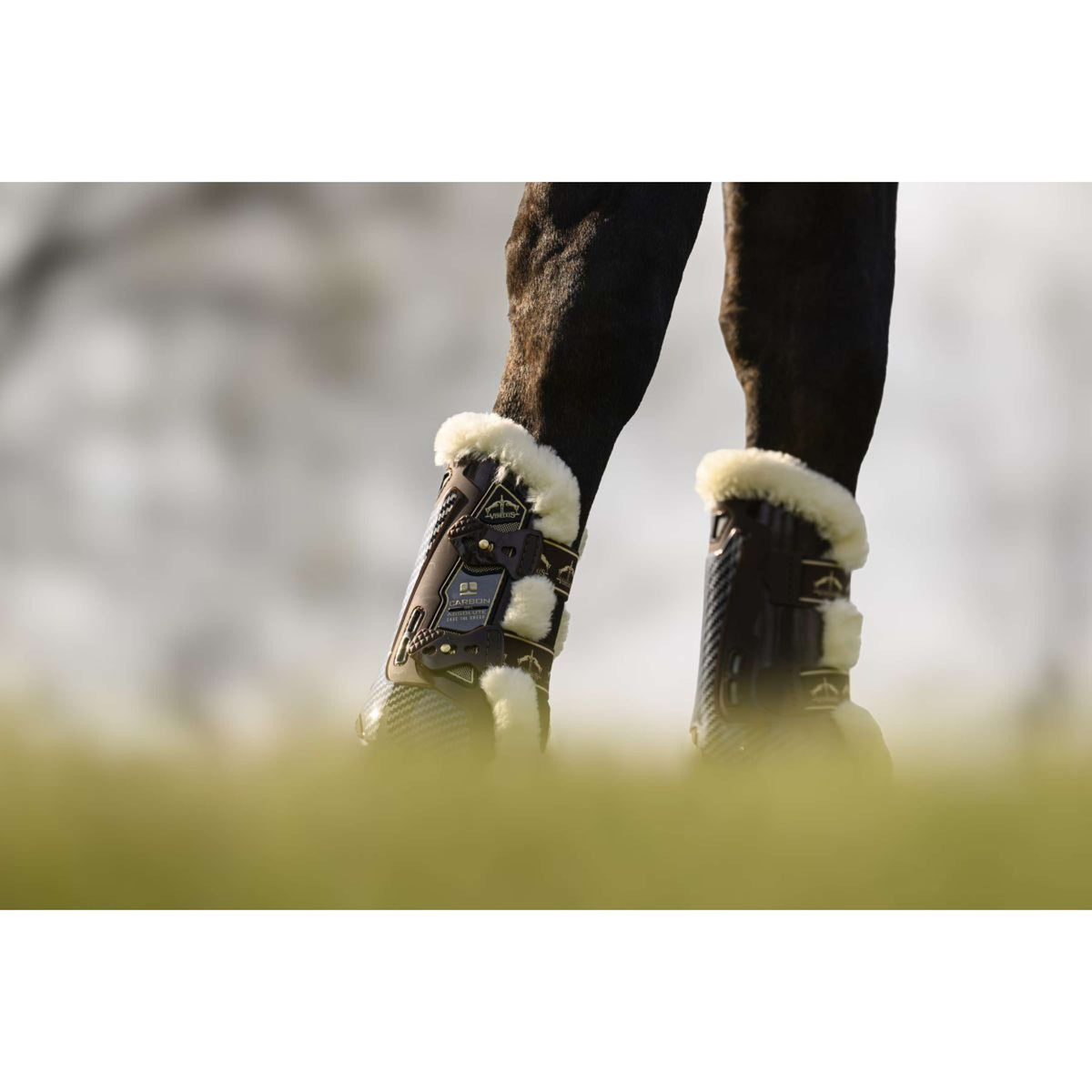 Veredus Protèges-Tendons Carbon Gel Absolute Save the Sheep Front Marron