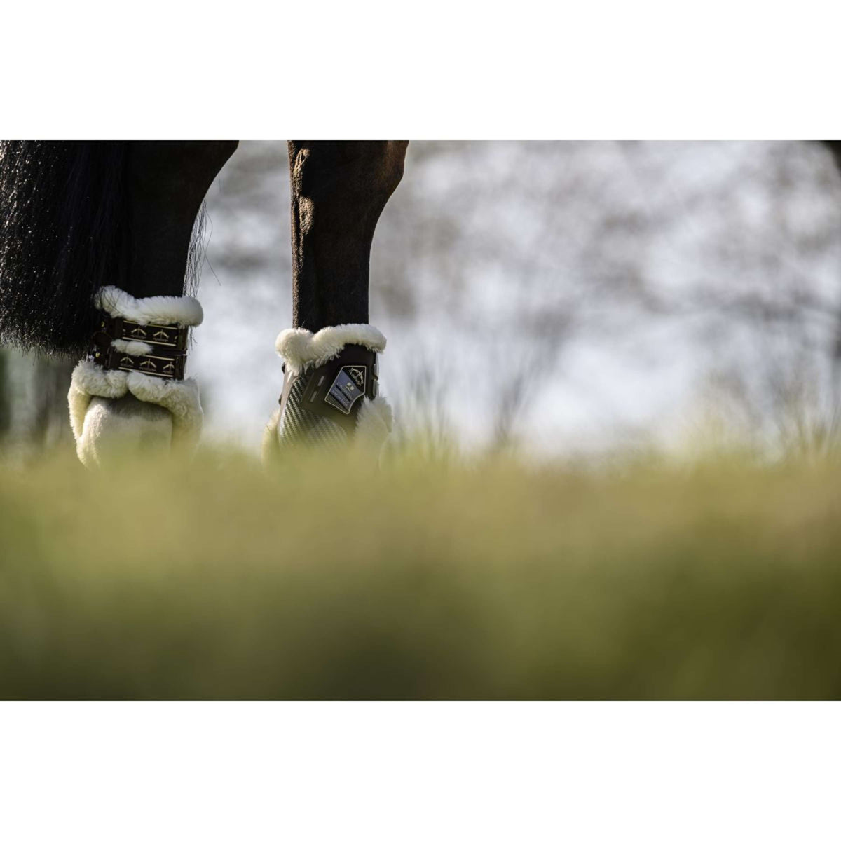 Veredus Protège-Boulets Carbon Gel Absolute Save the Sheep Rear Marron