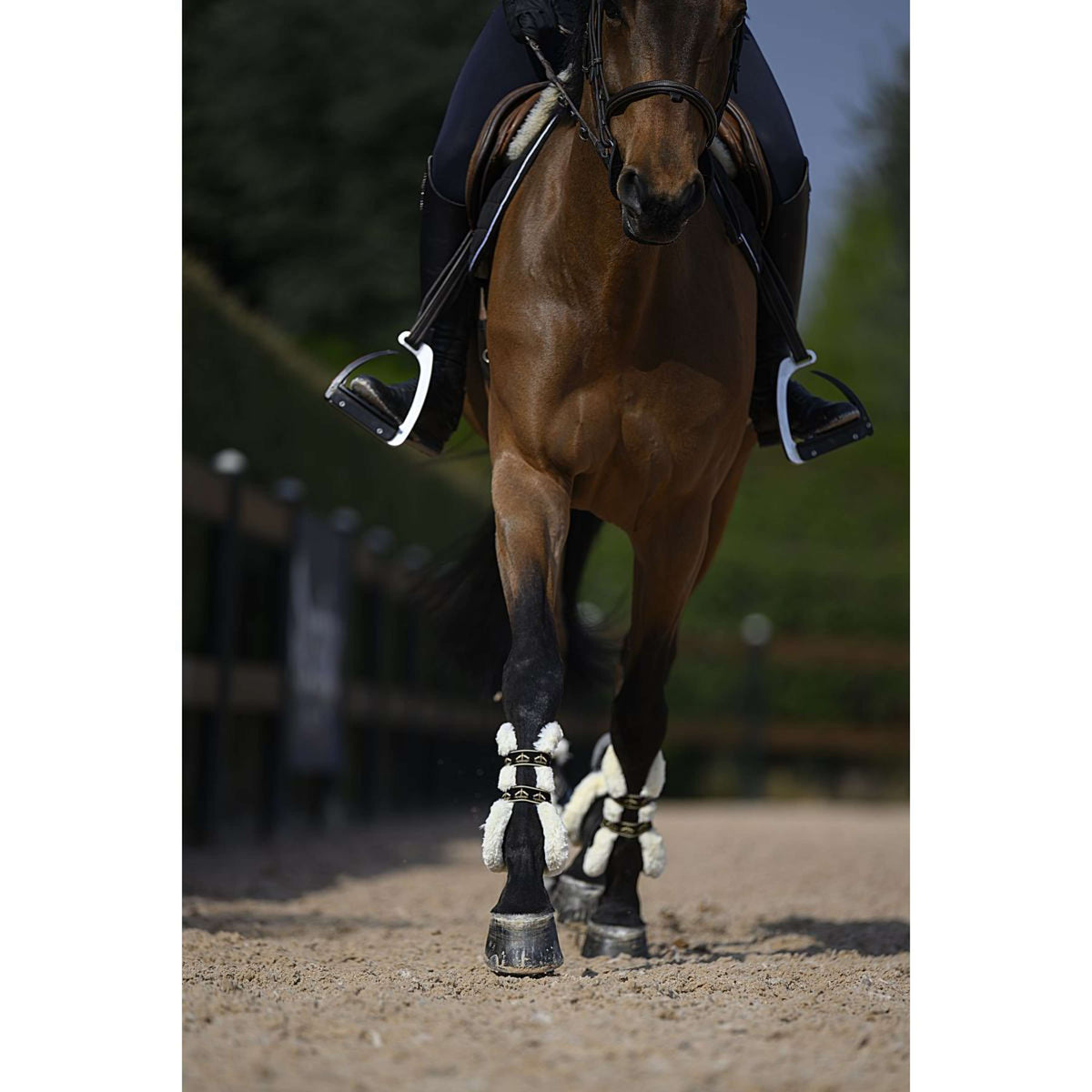 Veredus Protèges-Tendons Carbon Gel Absolute Save the Sheep Front Noir