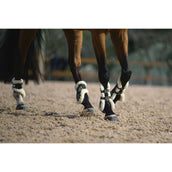 Veredus Protège-Boulets Carbon Gel Absolute Save the Sheep Rear Noir