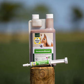 Vitalstyle ImmunoBoost