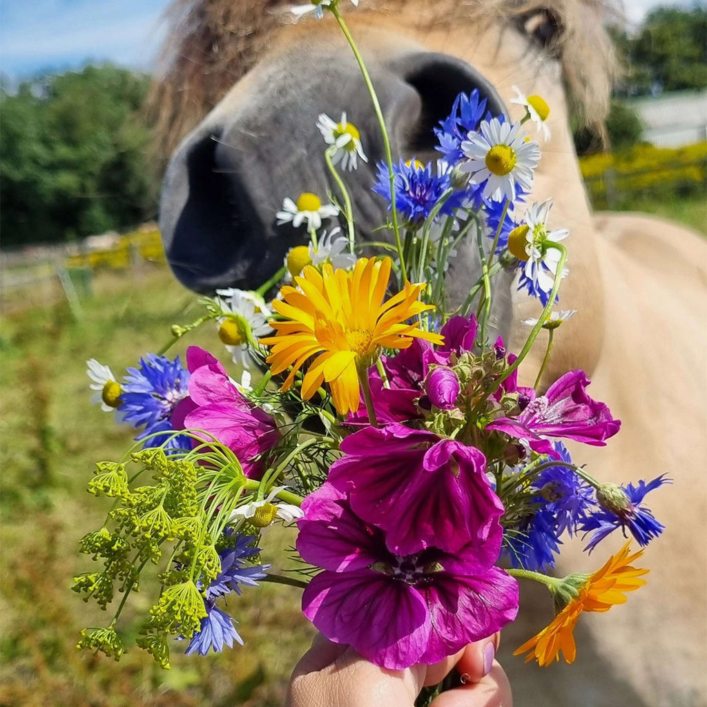 Vitalstyle Fleurs de Pré