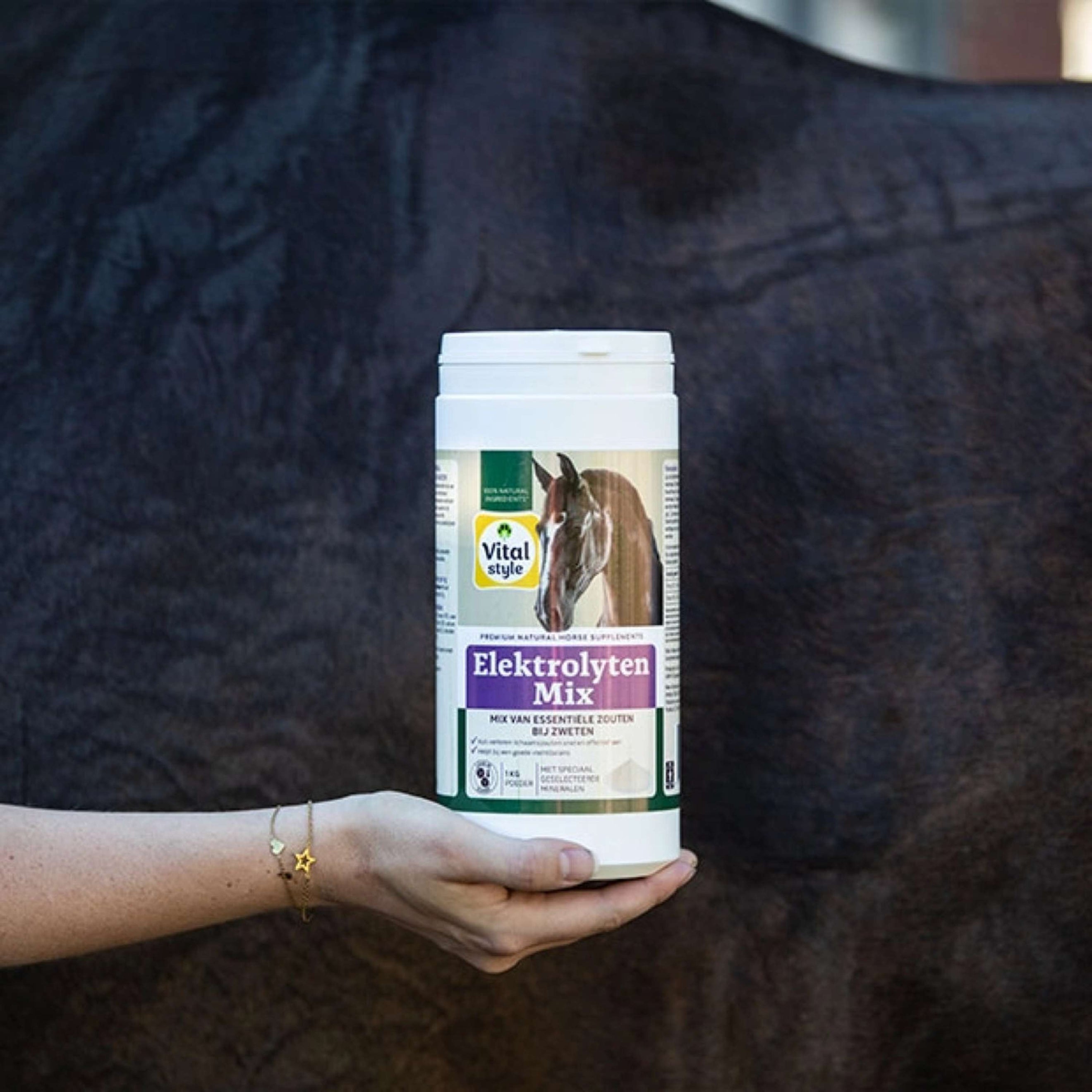 Vitalstyle Mélange d'Électrolytes Cheval Vitalstyle Mélange d'Électrolytes Cheval