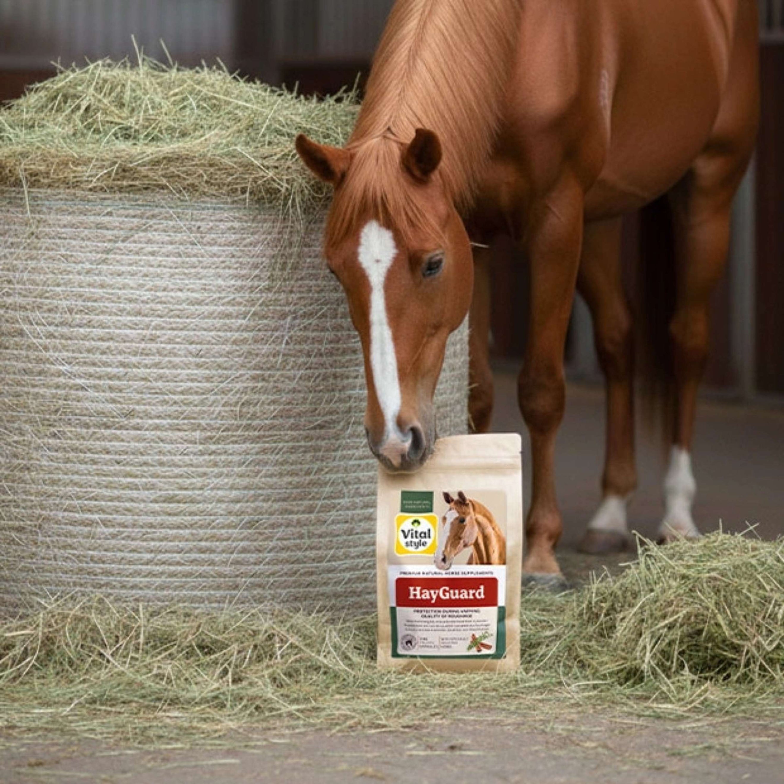 Vitalstyle HayGuard Vitalstyle HayGuard