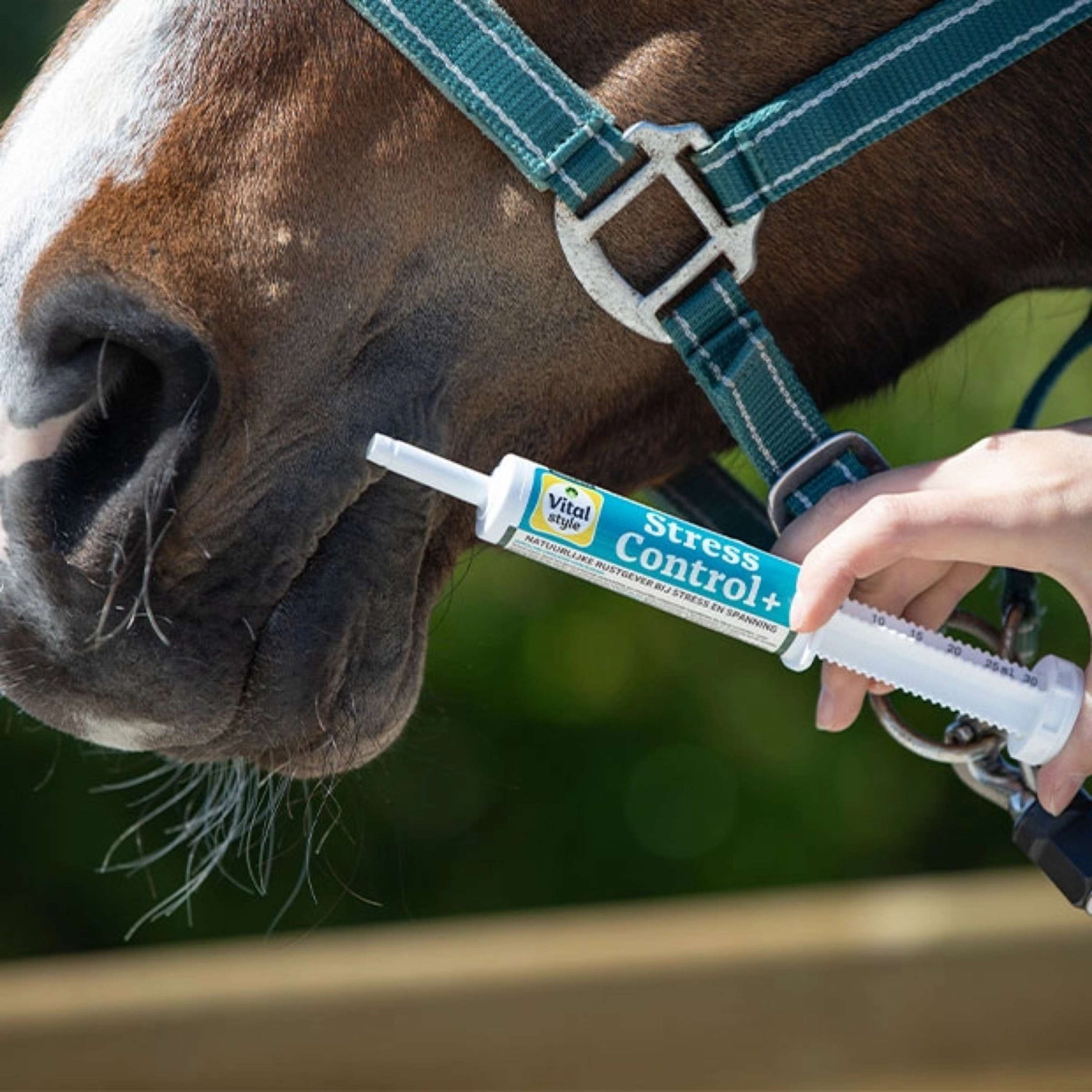 Vitalstyle StressControl+ Vitalstyle StressControl+
