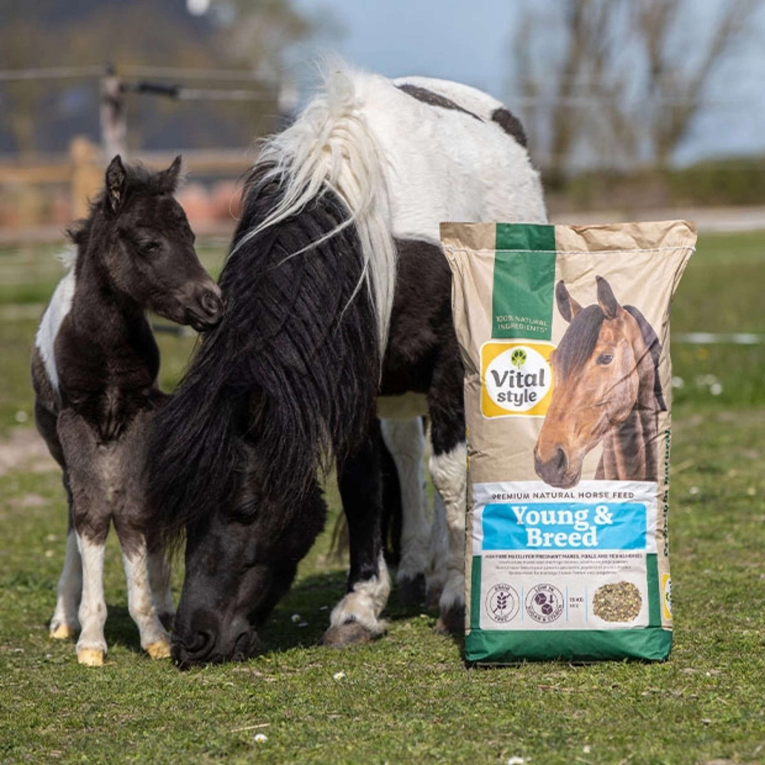 Vitalstyle Muesli Young & Breed Vitalstyle Muesli Young & Breed