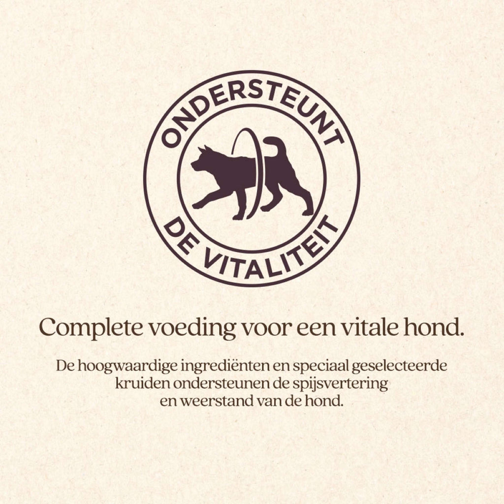 Vitalstyle Chien Adult