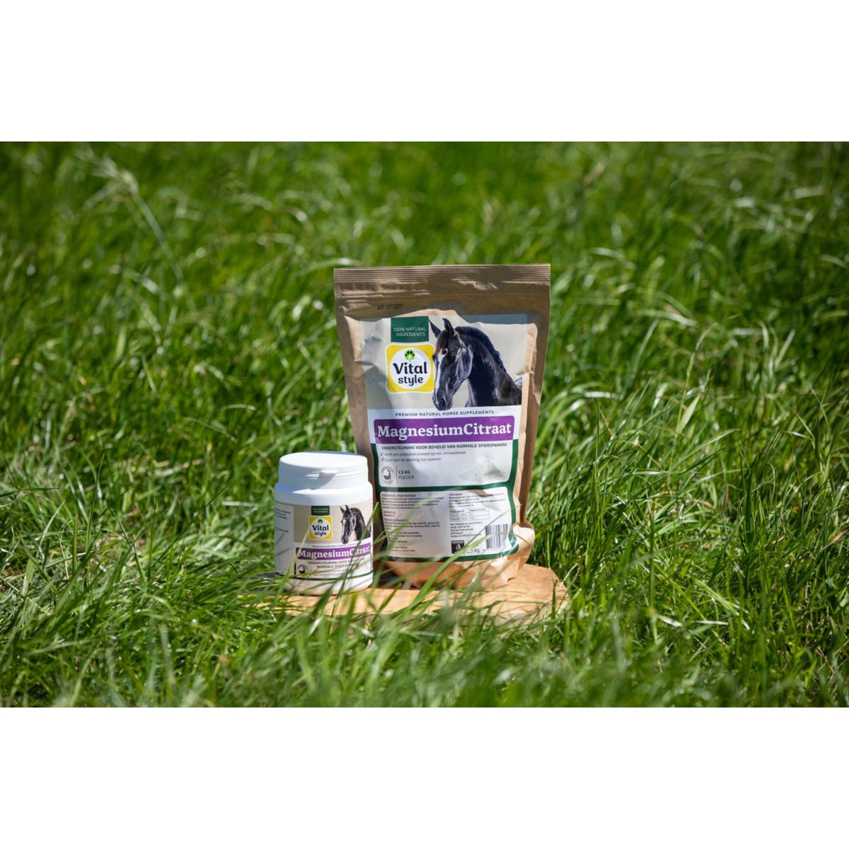 Vitalstyle Citrate de Magnésium