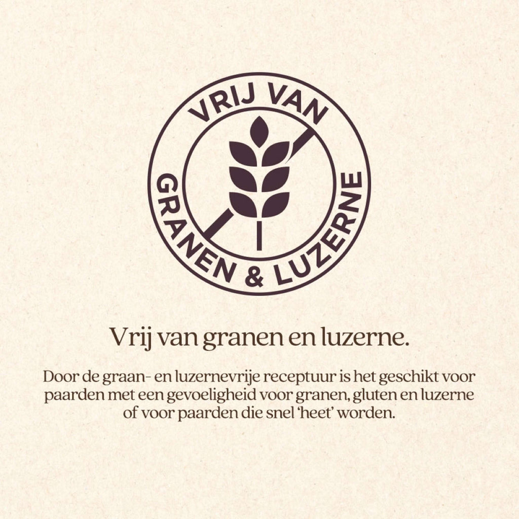 Vitalstyle Mélange de Fourrage Grossier Protein & Fiber