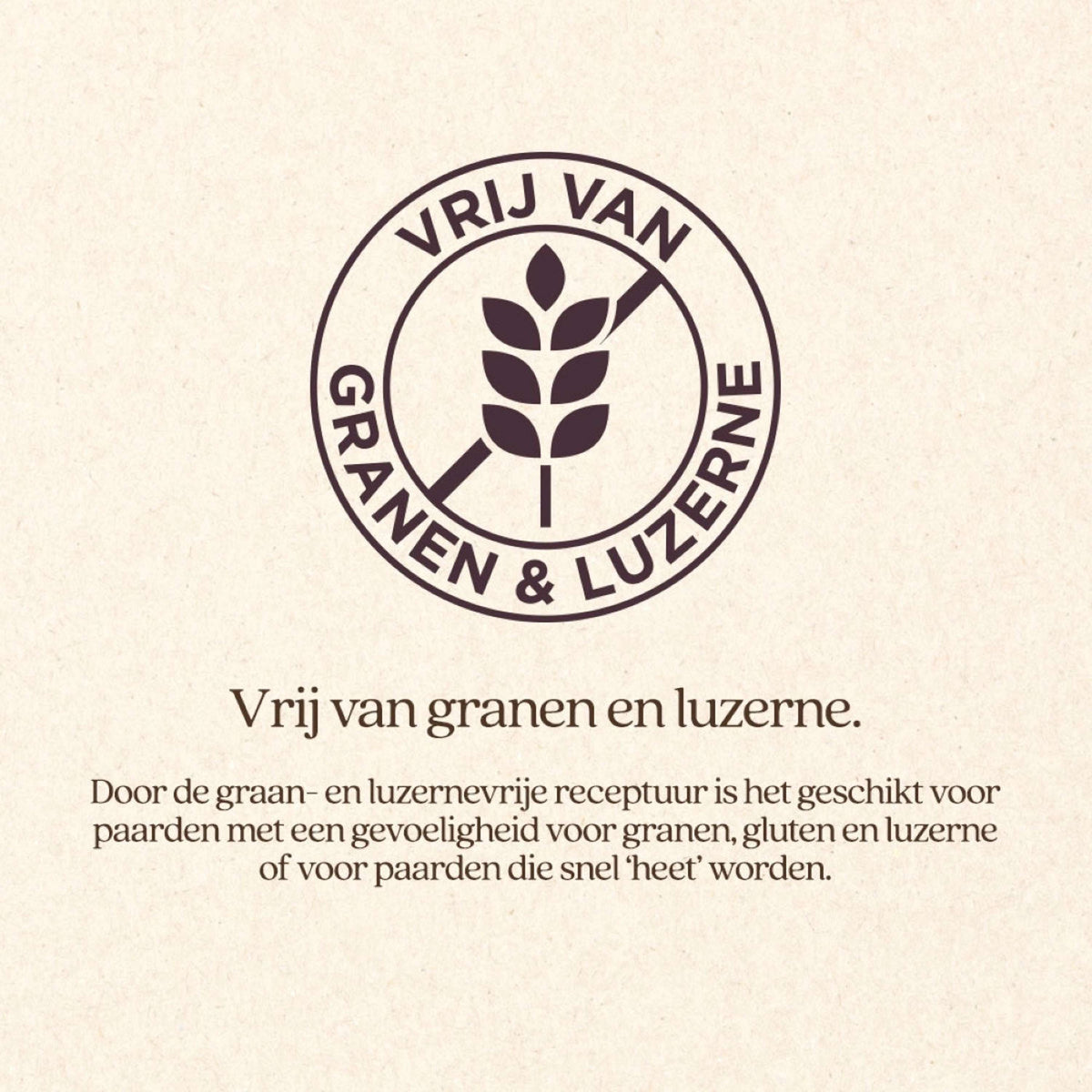 Vitalstyle Mélange de Fourrage Grossier Protein & Fiber