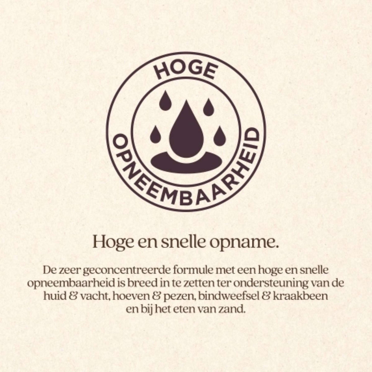 Vitalstyle Silicium+