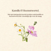 Vitalstyle GastroComplex+