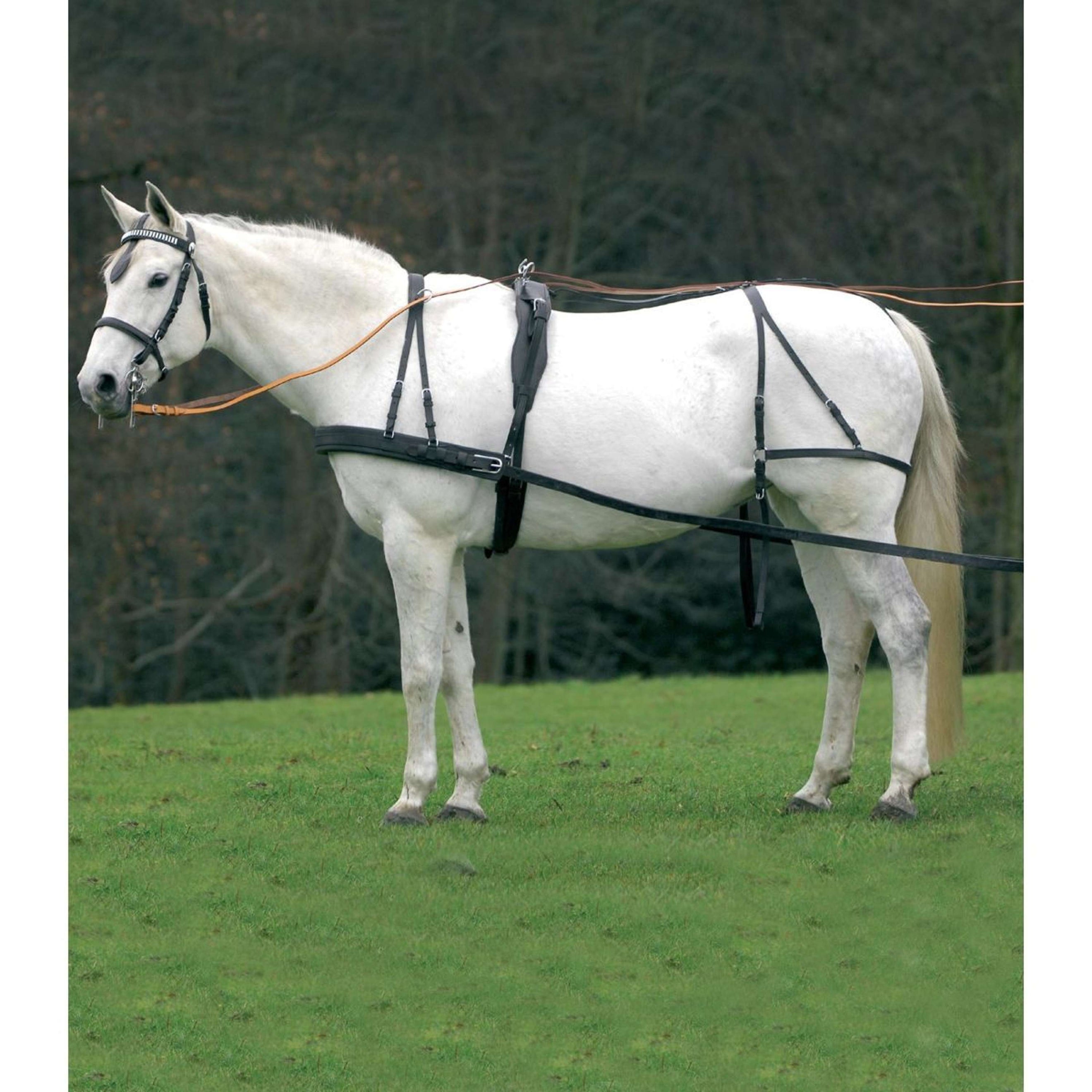 Waldhausen Harnais Simple Cuir Economic Noir Waldhausen Harnais Simple Cuir Economic Noir