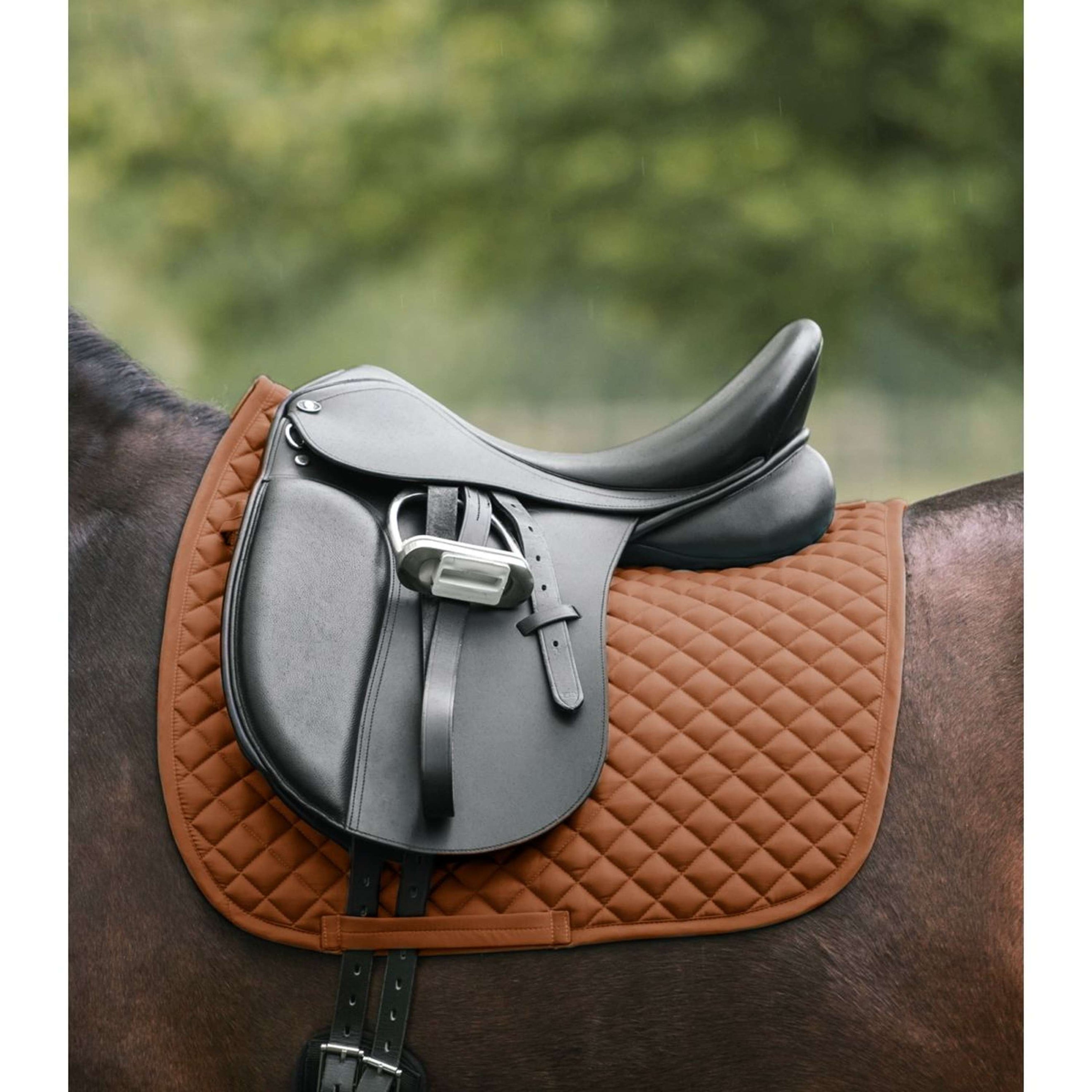 Waldhausen Tapis de Selle Felix Dressage Cinnamon