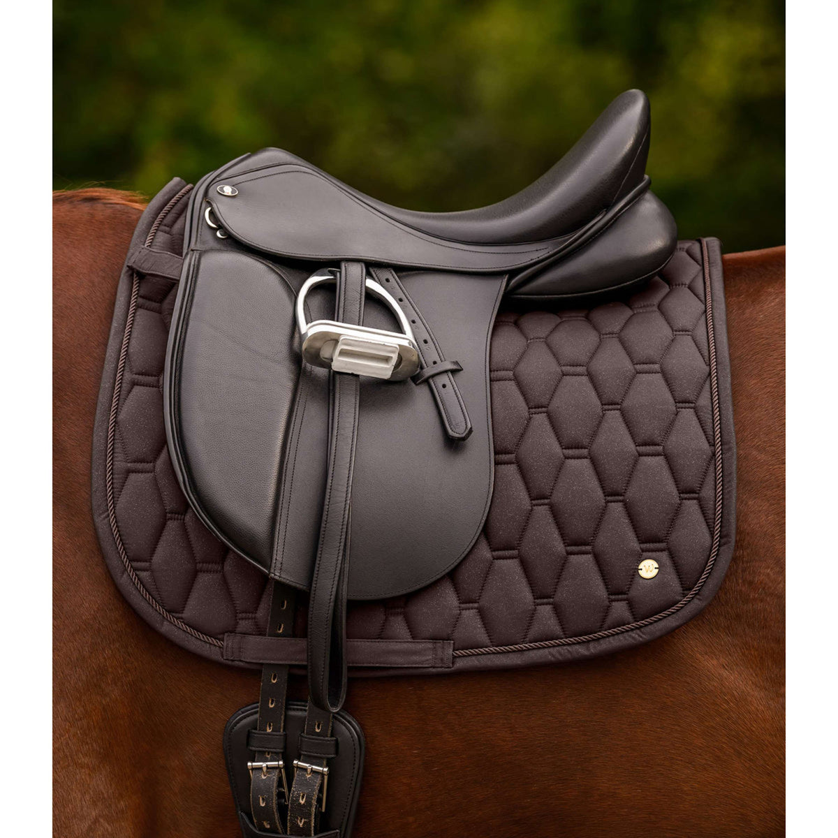 Waldhausen Tapis de Selle Phoenix Dressage Espresso