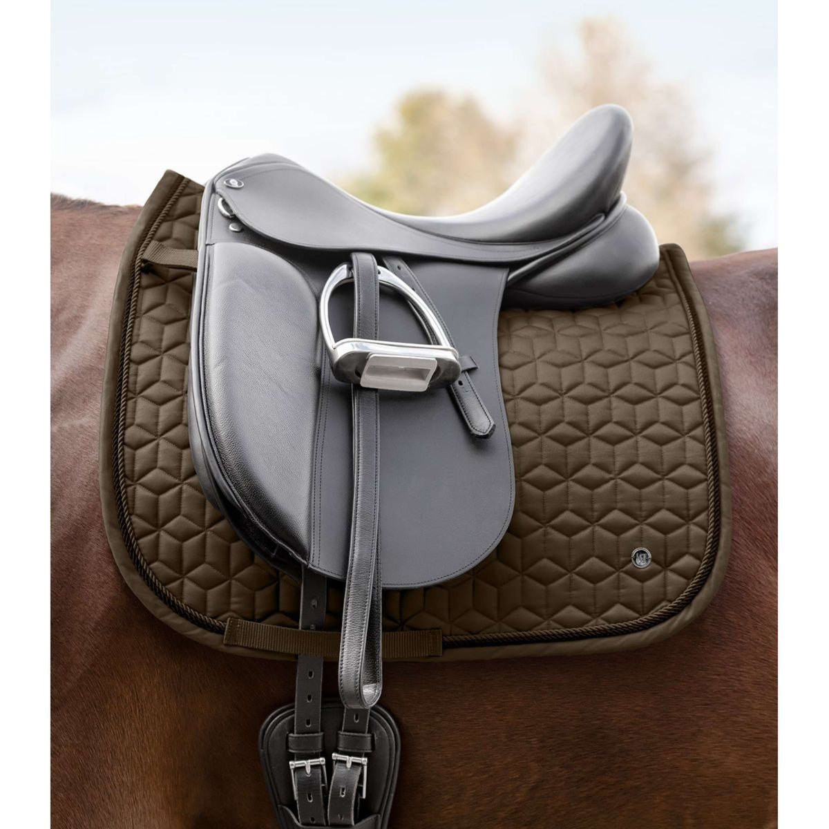 Waldhausen Tapis de Selle Philadelphia Dressage Vert/Marron