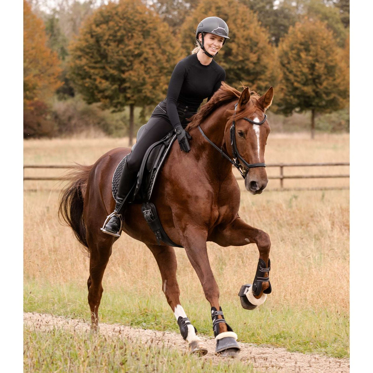 Waldhausen Tapis de Selle Felix Glam Dressage Noir