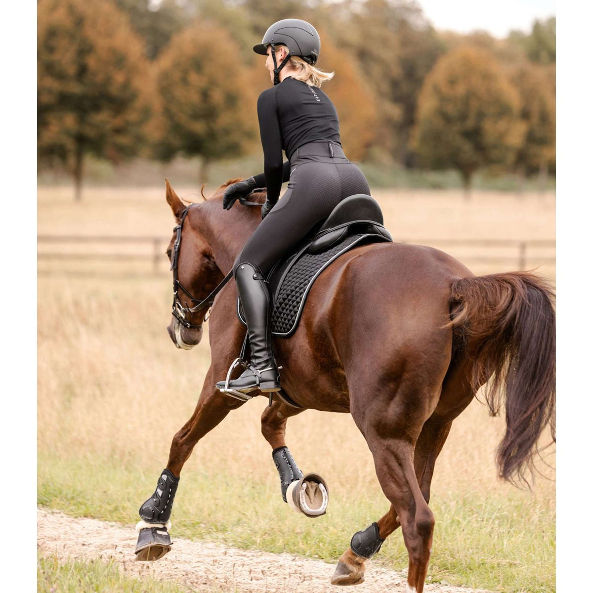 Waldhausen Tapis de Selle Felix Glam Dressage Noir