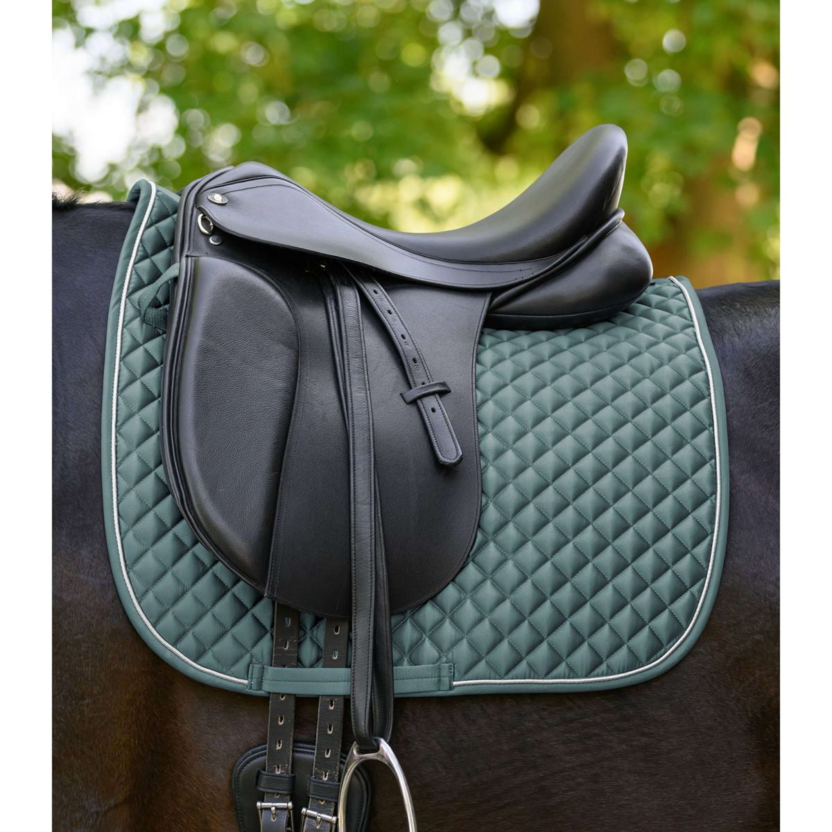 Waldhausen Tapis de Selle Felix Glam Dressage Pine Green