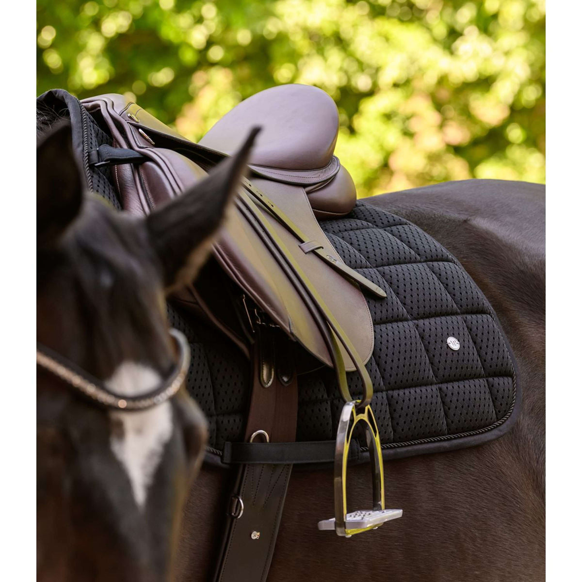 Waldhausen Tapis de Selle Breath Performance Polyvalent Noir