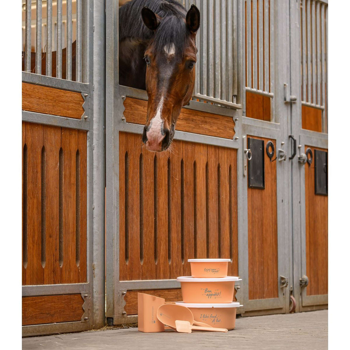 Waldhausen Mangeoire Enjoy your snack Pêche