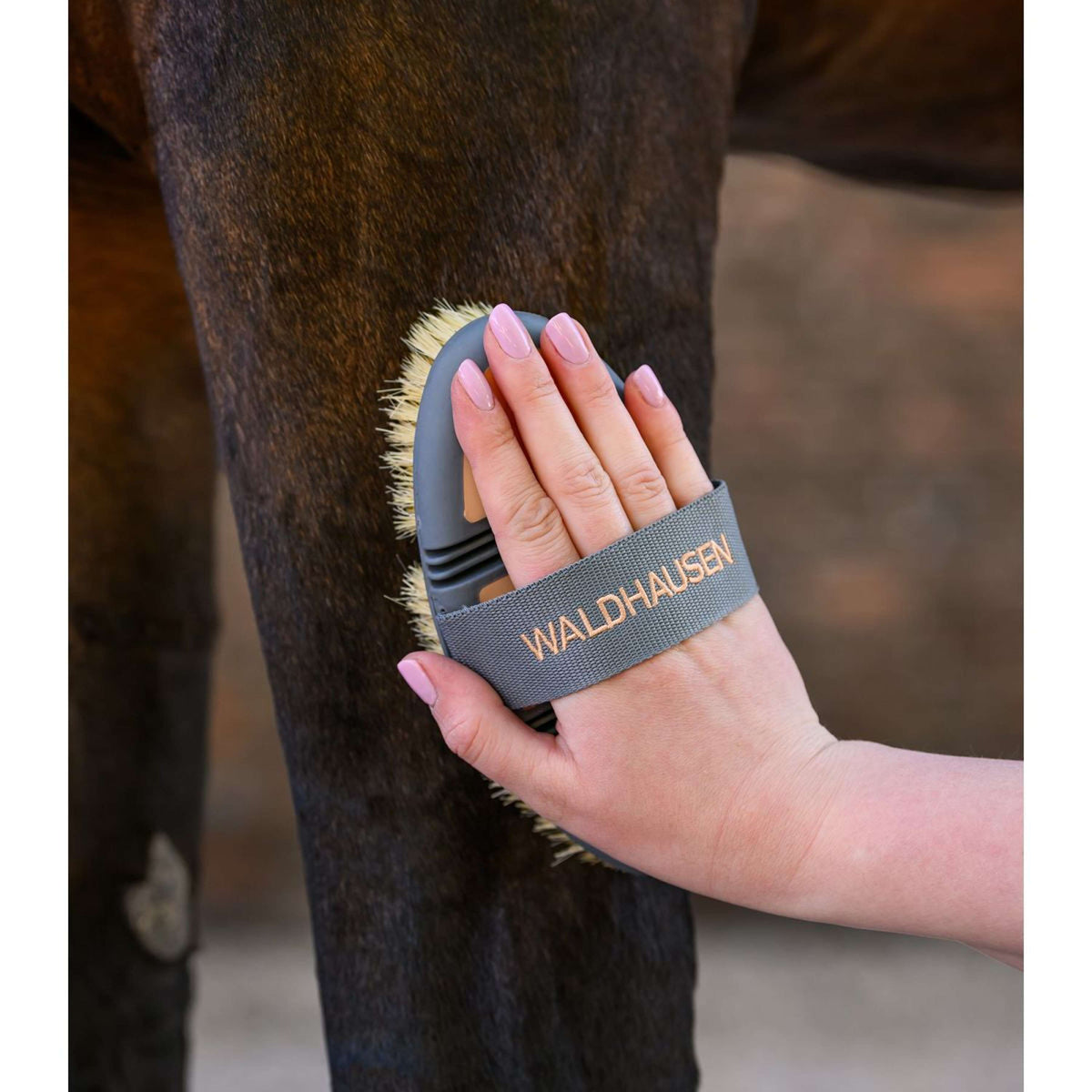 Waldhausen Brosse de Toilettage Flex Peach/Chrome Grey