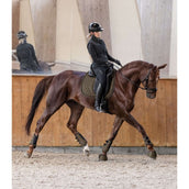 Waldhausen Guêtres Comfort Fit Vert/Marron