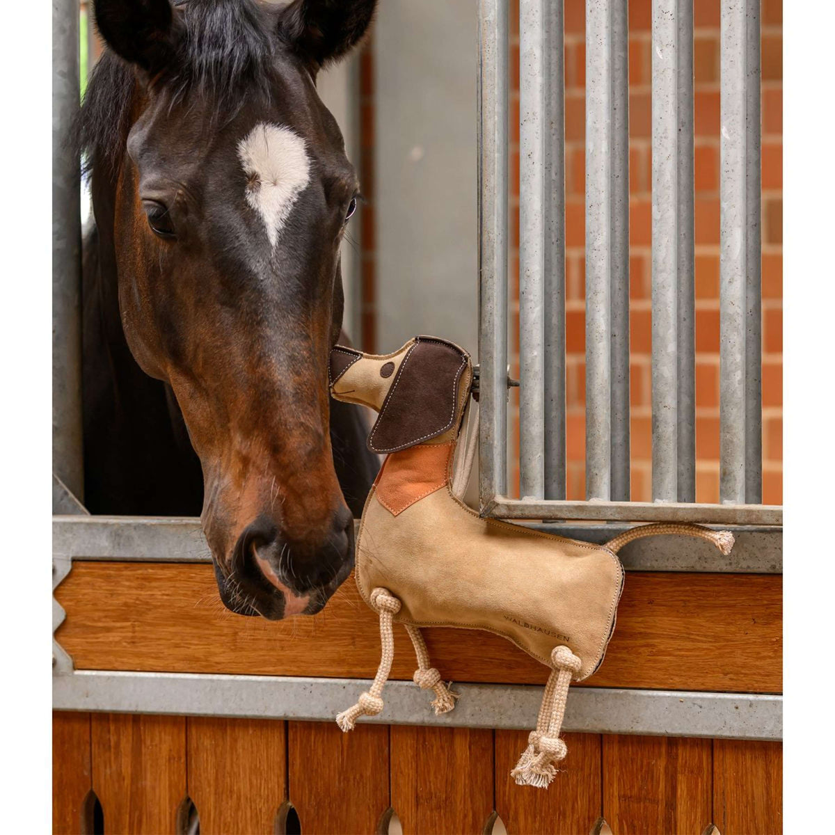 Waldhausen Jouet Dachshund Dieter