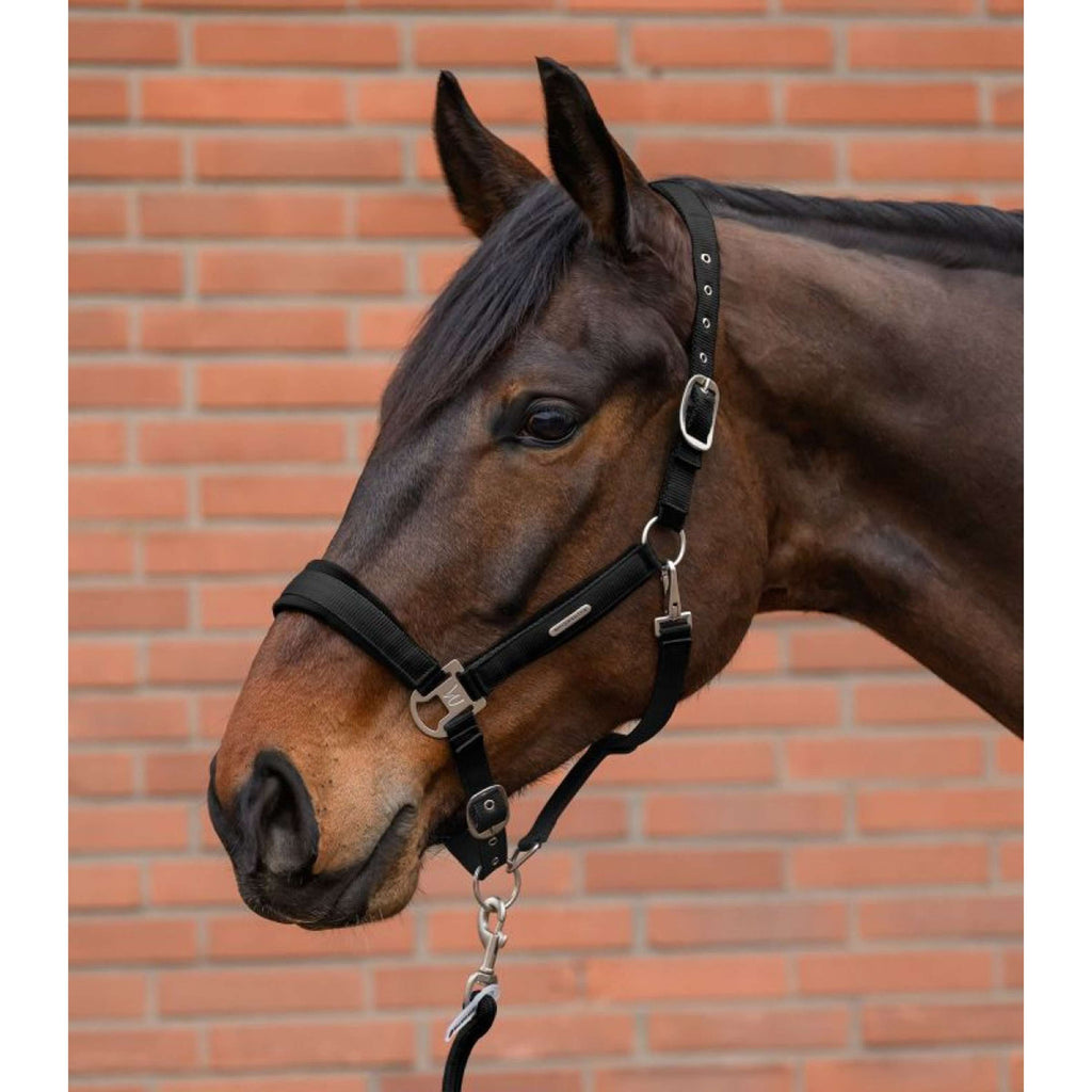 Waldhausen Ensemble Licol Velvet Noir