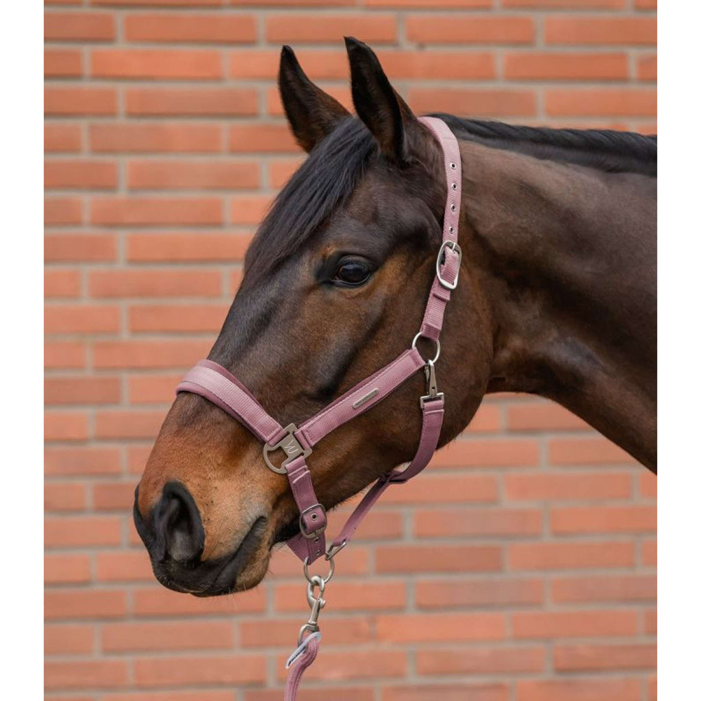 Waldhausen Ensemble Licol Velvet Dusky Pink