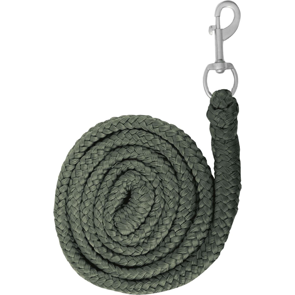 Waldhausen Lead Rope Economic avec Mousqueton Olive foncé