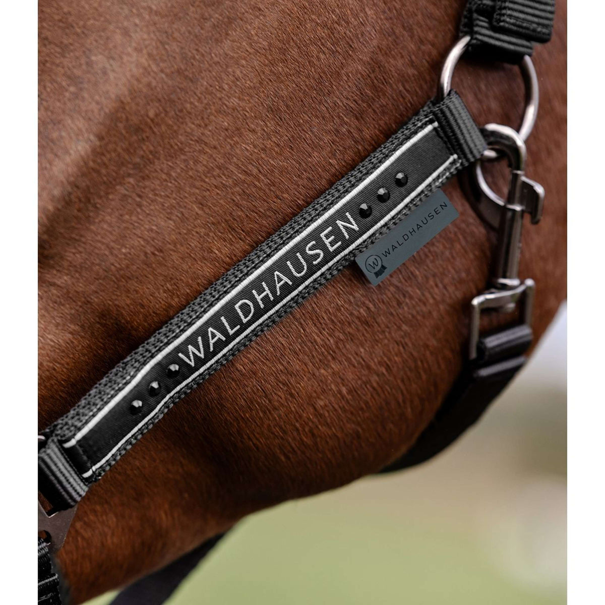 Waldhausen Licol Elegant Noir/Noir