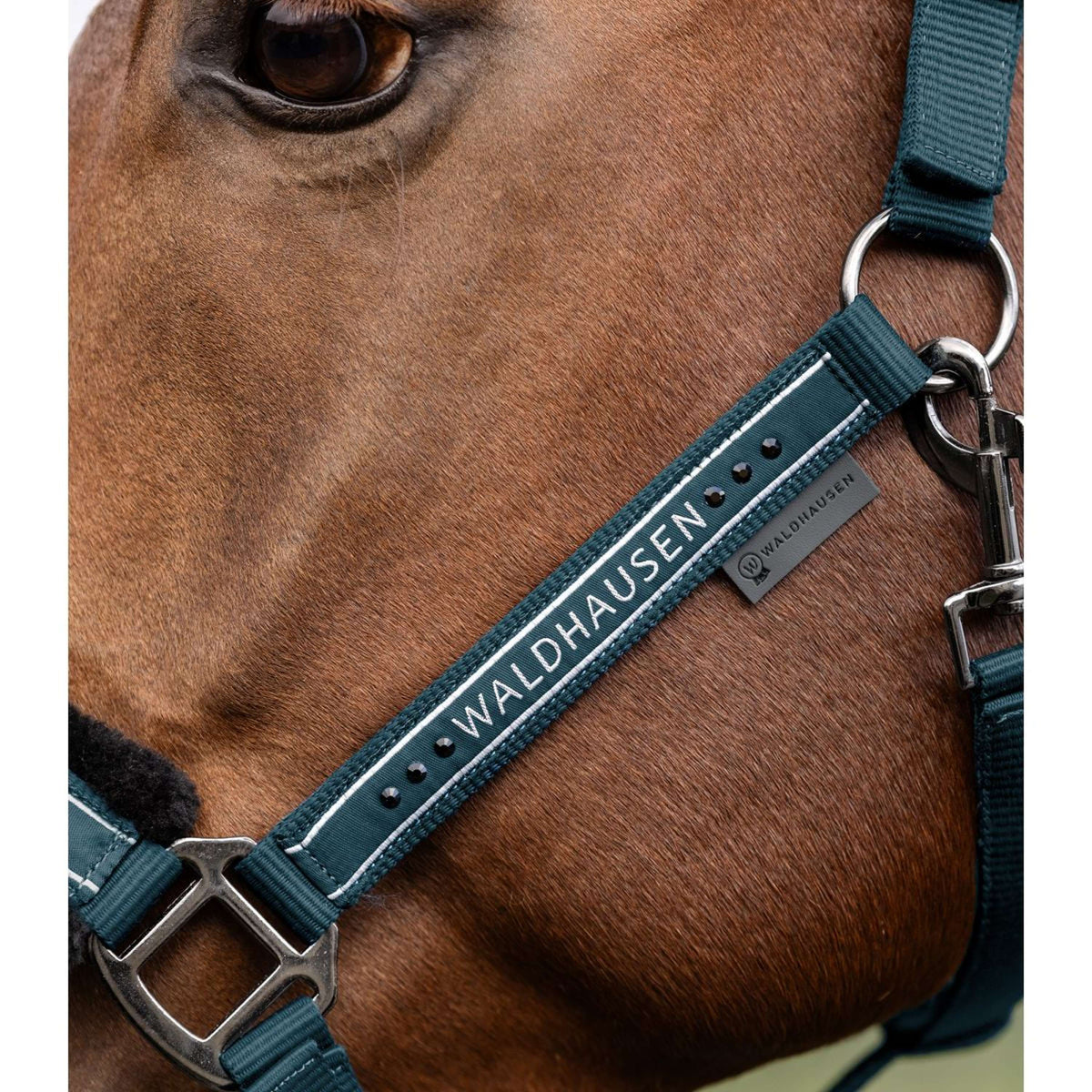 Waldhausen Licol Elegant Petrol Blue