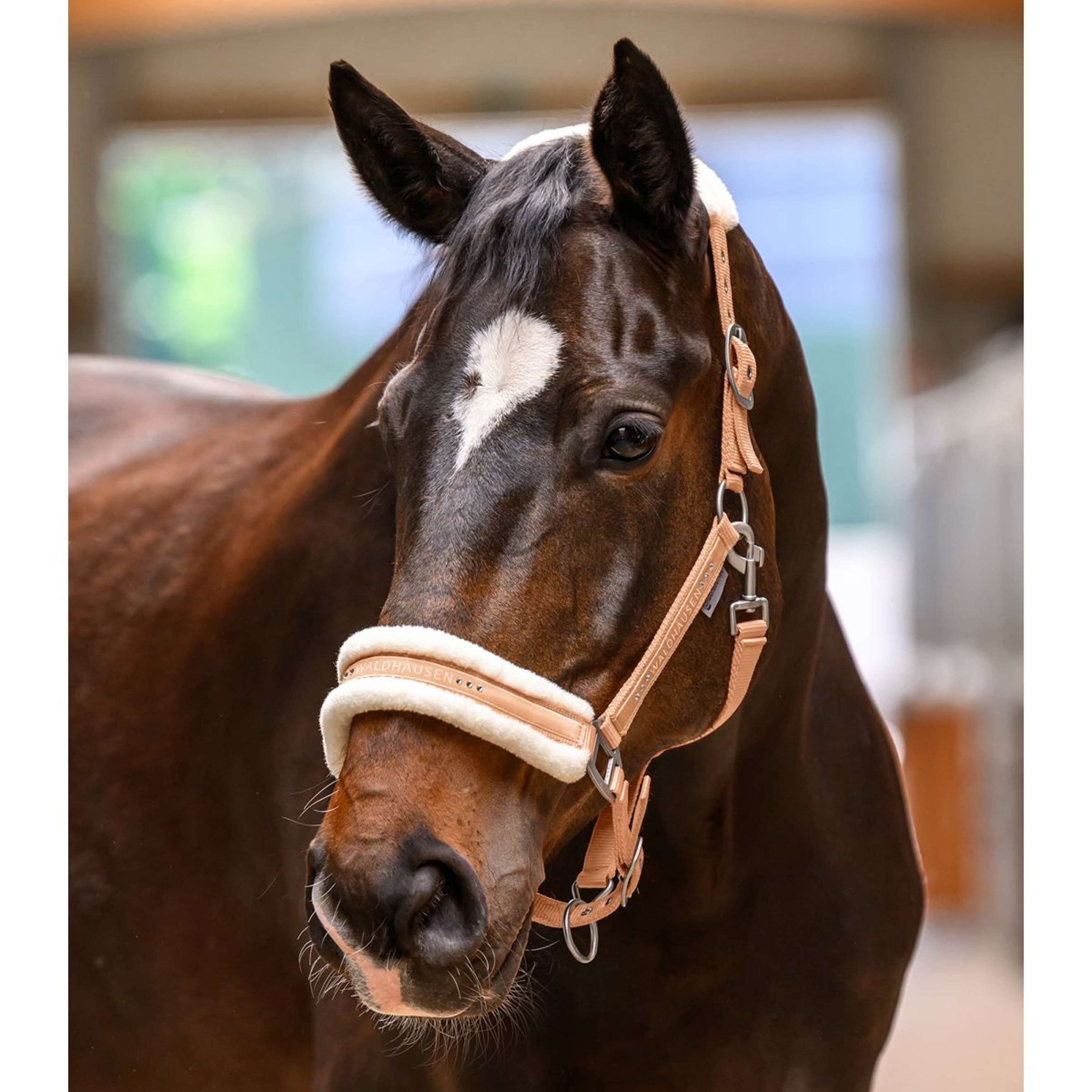 Waldhausen Licol Elegant Pêche Waldhausen Licol Elegant Pêche