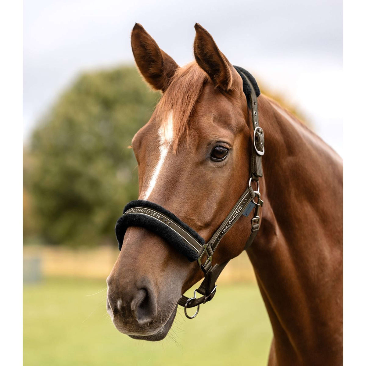 Waldhausen Licol Elegant Vert/Marron