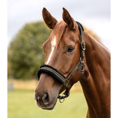 Waldhausen Licol Elegant Vert/Marron