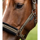 Waldhausen Licol Elegant Vert/Marron