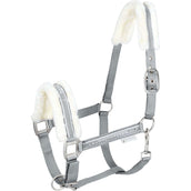 Waldhausen Licol Elegant Chrome Grey