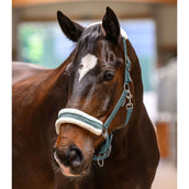 Waldhausen Licol Elegant Chrome Grey