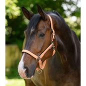 Waldhausen Licol Athletic Pêche