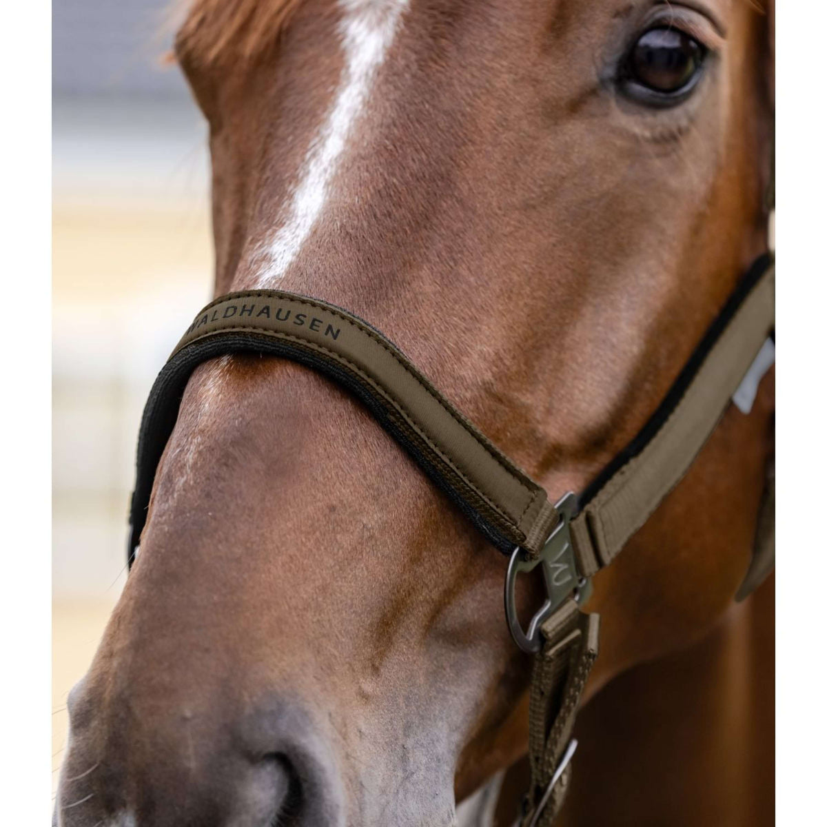 Waldhausen Licol Athletic Vert/Marron