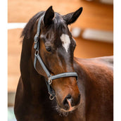 Waldhausen Licol Athletic Chrome Grey