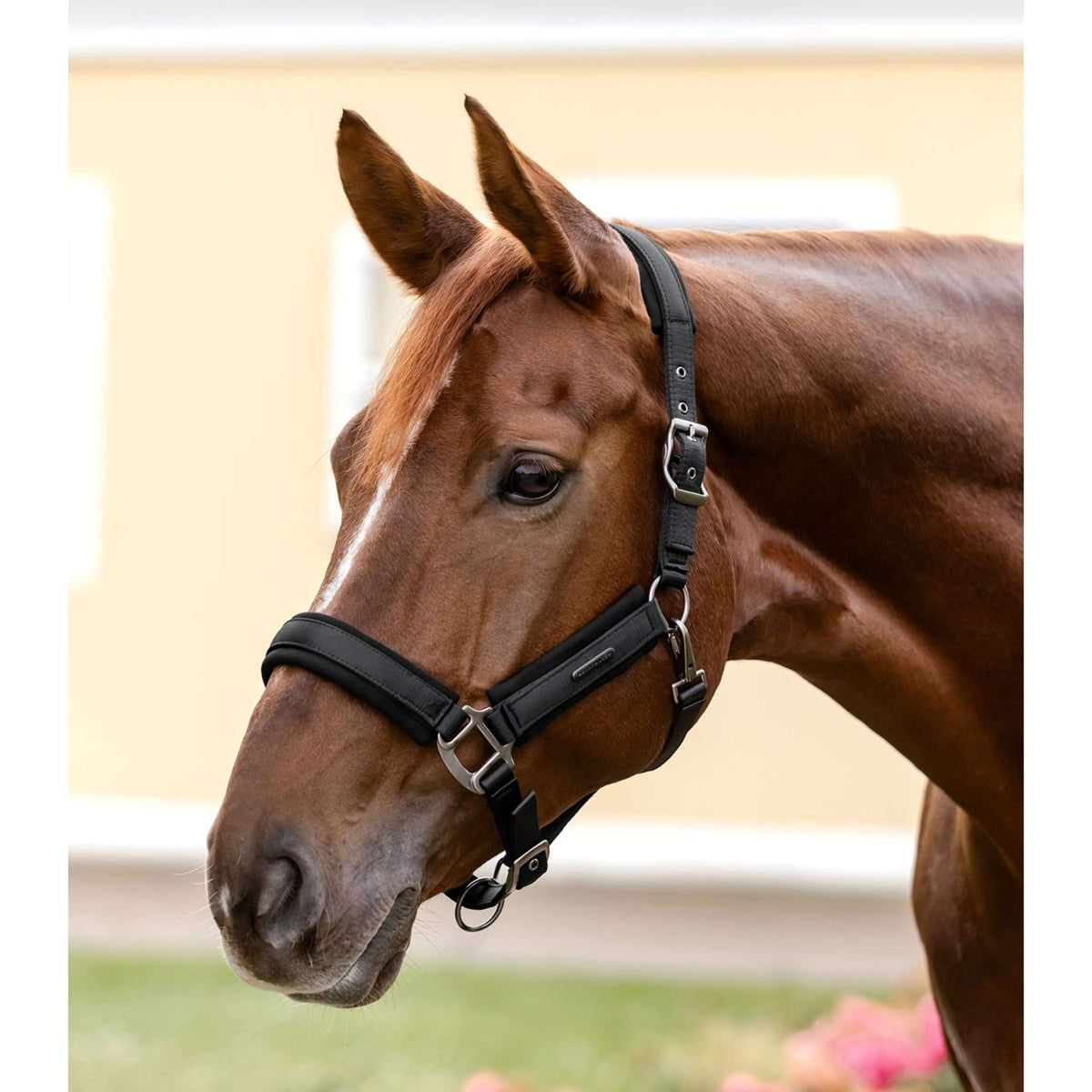 Waldhausen Licol Soft Touch Noir