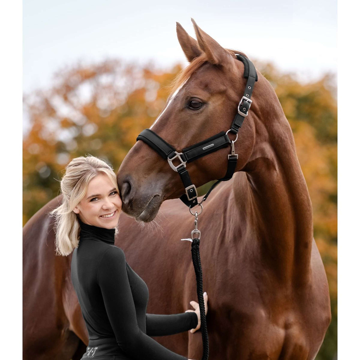 Waldhausen Licol Soft Touch Noir