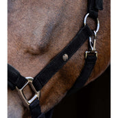 Waldhausen Licol St. Gallen Noir