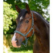 Waldhausen Licol Trinidad Pine Green