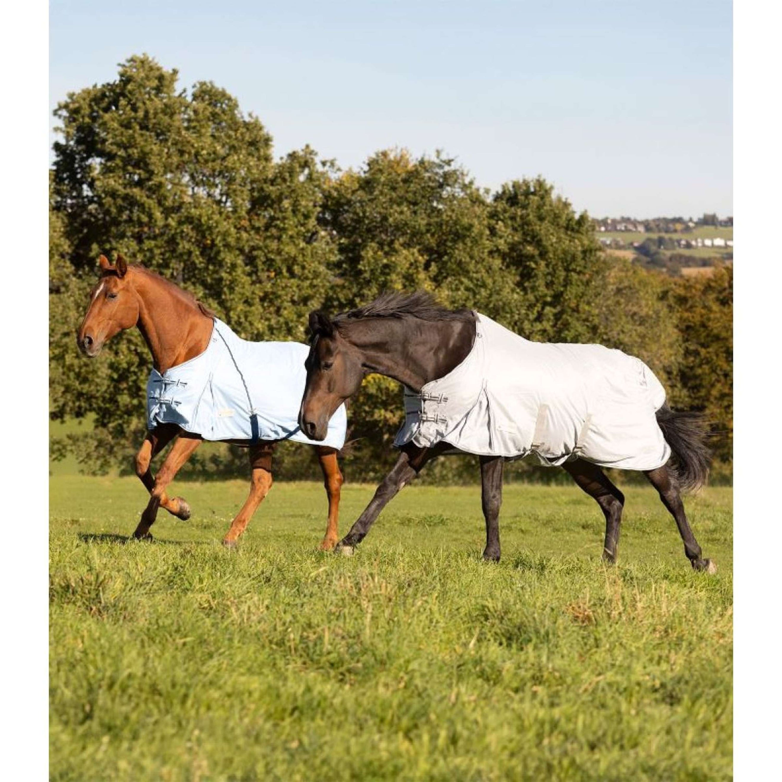 Waldhausen Couverture Anti-Mouches Protect Bleu clair/Bleu foncé Waldhausen Couverture Anti-Mouches Protect Bleu clair/Bleu foncé
