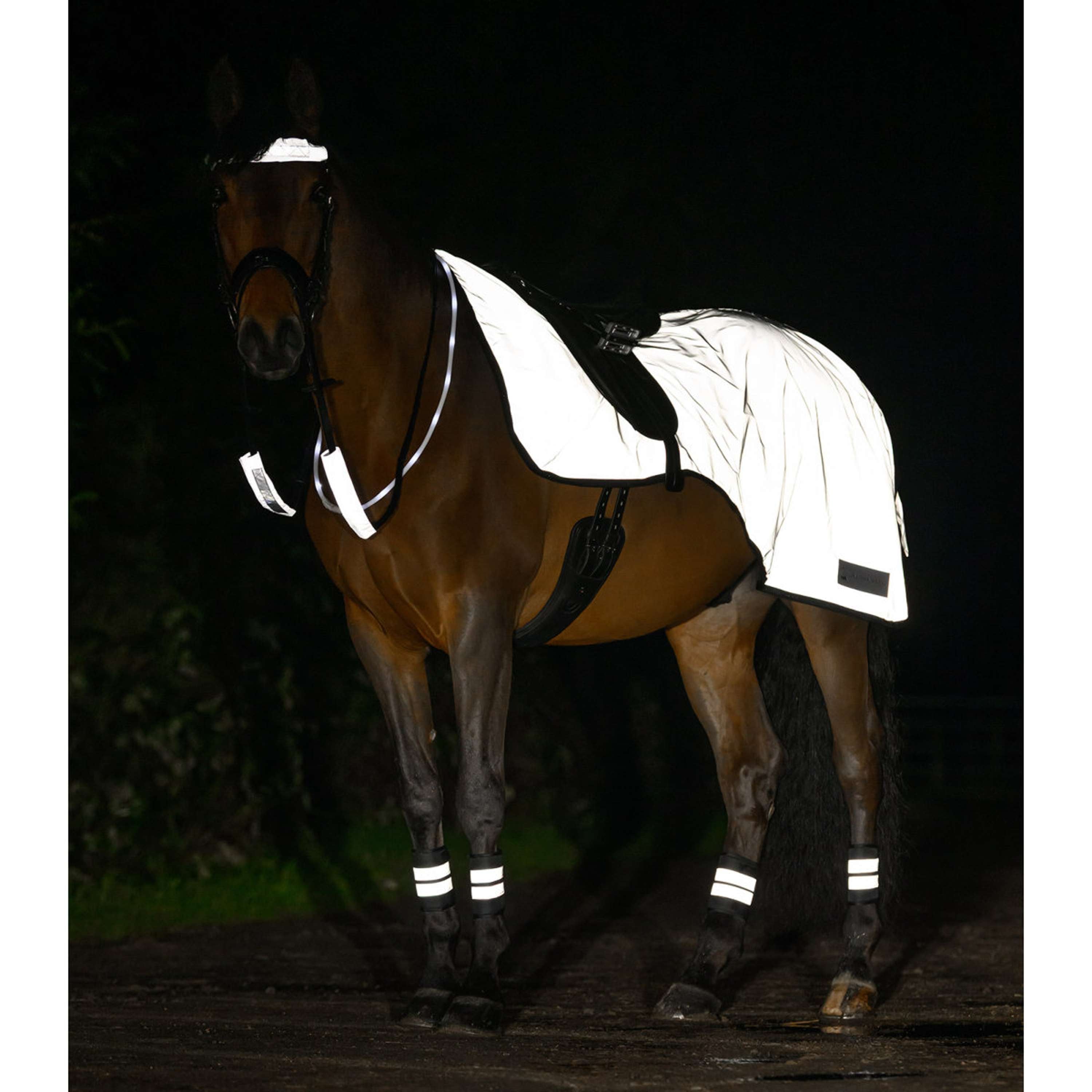 Waldhausen Couvre-reins Reflex Argent Gris